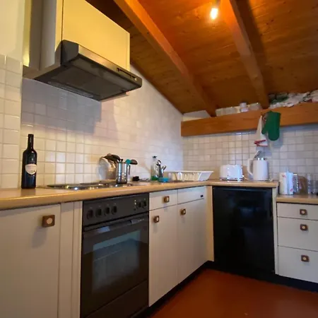 Guest Attic For Locarno Festival *